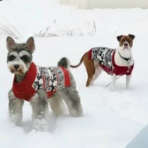 🐶Reindeer Argyle Dog  /Cat Shirt Holiday Christmas Sweater Vest Size - XS NWOT